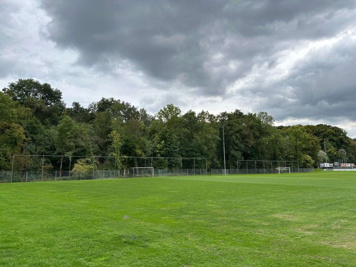 Sportveld